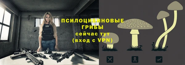 метадон Верея