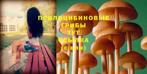 метадон Верея