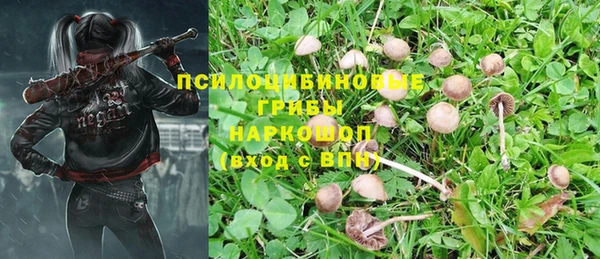 МДПВ Верхний Тагил