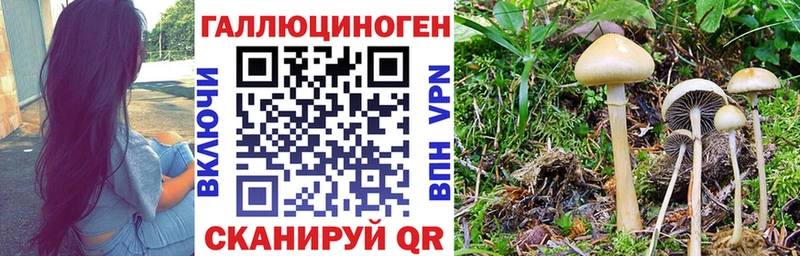 Галлюциногенные грибы MAGIC MUSHROOMS  Кирс 